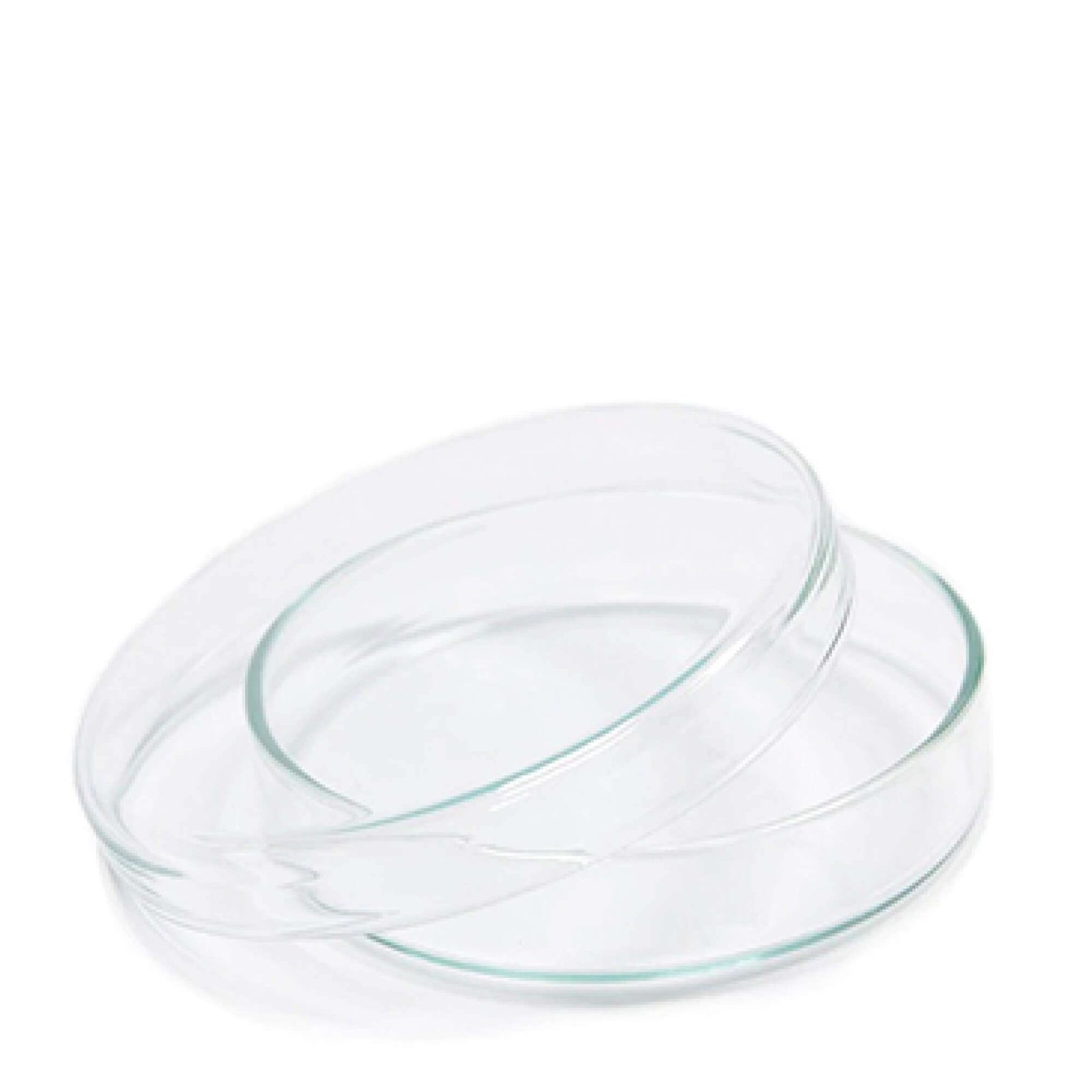 Petri Dishes x 10